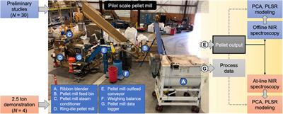 Pilot-Scale Pelleting Tests on High-Moisture Pine, Switchgrass, and Their Blends: Impact on Pellet Physical Properties, Chemical Composition, and Heating Values